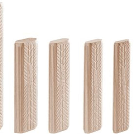 D 14X140/70 BU Domino – 498219