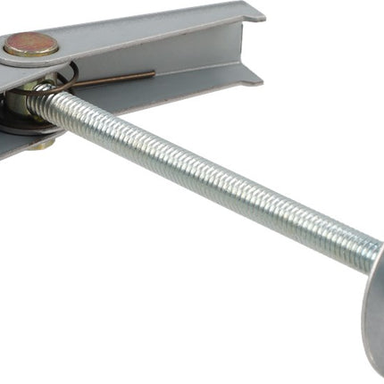 Tuimelplug met moer en ring