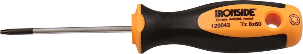 Torx schroevendraaier Ironside