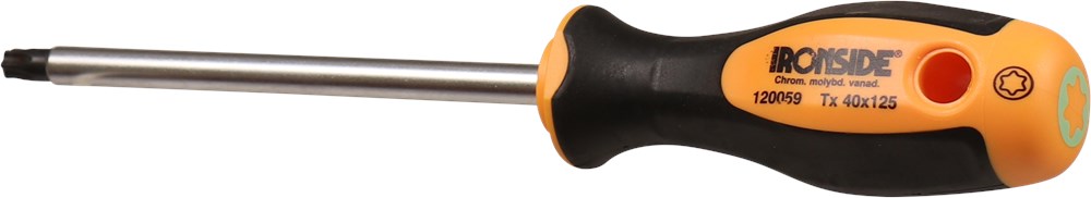 Torx schroevendraaier Ironside