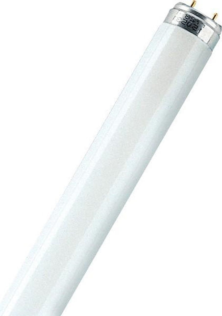 TL Lamp 4W Kleur 33 – 63000
