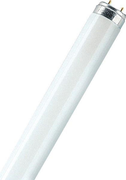 TL Lamp 4W Kleur 33 – 63000