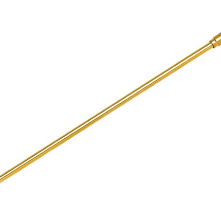 IMB55019